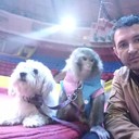  ,   , 40 ,   ,   , c 