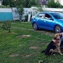  ,   , 53 ,   ,   