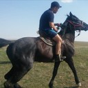 ���������� ������, ���� ������� �����, 36 ���, ������������ ��� ������, ����� � ���������, c�������� ���������