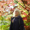  ,   , 57 ,  