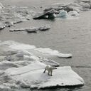 ���������� �����������, ���� ������� �������, 45 ���, ������������ ��� ������, ����� � ���������, c�������� ���������