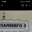  ,   , 51 ,   ,   