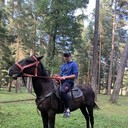 ���������� ���������, ���� ������� ���������, 36 ���, ������������ ��� ������, ����� � ���������, c�������� ���������