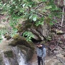 ���������� �������, ���� ����� Mihai, 24 ����, ������������ ��� ������, ����� � ���������