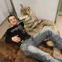 ���������� ������, ���� ������� ����, 41 ���, ������������ ��� ������, ����� � ���������, c�������� ���������, ���������