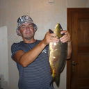 ���������� ���������, ���� ������� � ��, 59 ���, ������������ ��� ������