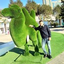  ,   , 36 ,   ,   