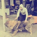  ,   Sardar, 33 ,   c 