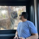 ���������� ����, ���� ������� ����, 46 ���, ������������ 