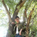 ���������� ���������, ���� ������� ������, 33 ����, ������������ ��� ������, ����� � ���������, c�������� ���������