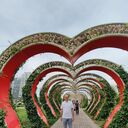 ���������� ������-��-����, ���� ������� ������� N, 50 ���, ������������ ��� ����� � ���������, c�������� ���������, ���������