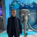 ���������� ������, ���� ������� ������, 44 ����, ������������ ��� ������, ����� � ���������, c�������� ���������