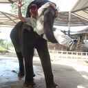  ,   Viktor, 64 ,  