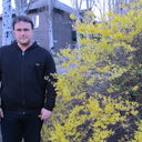 ���������� ������, ���� ������� ����, 50 ���, ������������ ��� ����� � ���������, c�������� ���������