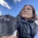 ���������� ���������, ���� ������� �����, 43 ����, ������������ ��� c�������� ���������