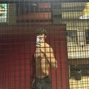 ���������� �������, ���� ����� ����, 25 ���, ������������ ��� ������, ����� � ���������