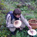 ���������� �������, ���� ������� �����, 49 ���, ������������ ��� ������, ����� � ���������, c�������� ���������