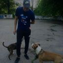 ���������� ������, ���� ������� ���������, 38 ���, ������������ ��� ������, ����� � ���������, c�������� ���������