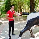 ���������� ������, ���� ������� Nurtas, 31 ���, ������������ ��� ������