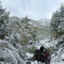  ,   Andrei, 31 ,   ,   