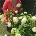 ���������� �����, ���� ������� ������, 51 ���, ������������ ��� ������, ����� � ���������, c�������� ���������