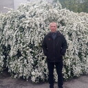 ���������� �������, ���� ������� ����, 43 ����, ������������ ��� ������, ����� � ���������, c�������� ���������