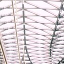 ���������� �����-���������, ���� ������� �����, 36 ���, ������������ ��� ������, ����� � ���������