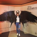 ���������� �����������, ���� ������� �����, 42 ����, ������������ ��� ������, ����� � ���������, c�������� ���������