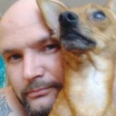 ���������� ��������, ���� ������� ����������, 44 ����, ������������ ��� ������, ����� � ���������