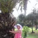   ,   , 62 ,   ,   , c 