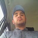  ,   Fir, 38 ,   ,   