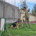 ���������� �������, ���� ����� �������, 22 ����, ������������ ��� ������, ����� � ���������, c�������� ���������, ���������