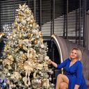 ���������� �����������, ���� ������� ����, 44 ����, ������������ ��� ����� � ���������, c�������� ���������