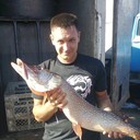 ���������� ����, ���� ������� ������, 43 ����, ������������ ��� ������, ����� � ���������, c�������� ���������