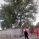 ���������� �����������, ���� ������� �����, 41 ���, ������������ ��� ������, ����� � ���������, c�������� ���������, ���������