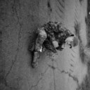  ,   Tolik, 26 ,     , c 