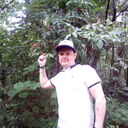 ���������� ������, ���� ������� ���, 38 ���, ������������ ��� ������, ����� � ���������