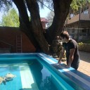 ���������� ���������, ���� ������� ��������, 39 ���, ������������ ��� ������, ����� � ���������, c�������� ���������