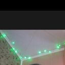 ���������� ���������, ���� ������� �����, 46 ���, ������������ ��� ������, ����� � ���������, ���������