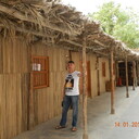  ,   , 52 ,     , c 