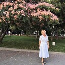  -,   , 55 ,     , c 
