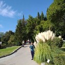 ���������� �����������, ���� ������� ����, 42 ����, ������������ ��� ����� � ���������, c�������� ���������