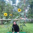  ,   , 37 ,   ,   , c 