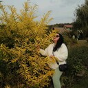 ���������� �������, ���� ������� �������, 43 ����, ������������ ��� ������, ����� � ���������