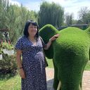 ���������� �������, ���� ������� �������, 53 ����, ������������ 