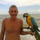  ,   , 44 ,   