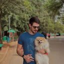 ���������� ������, ���� ������� ������, 31 ���, ������������ ��� ������, ����� � ���������, c�������� ���������, ���������