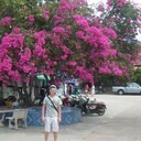  -,   , 43 ,   ,   , c 