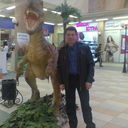 ���������� ������, ���� ������� �������, 51 ���, ������������ 