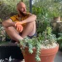 ���������� �����, ���� ������� ����, 36 ���, ������������ ��� ������, ����� � ���������, c�������� ���������, ���������